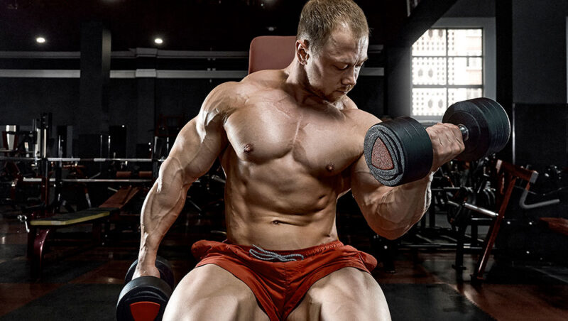 strongman gym equipment